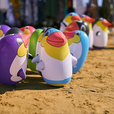 In 24419 * 比比翁