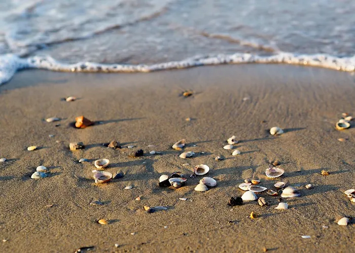 In 24419 Appartement Bibione